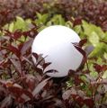 Záhradná solárna lampa guľa Gardlov 23562, sada 6ks Zahradní solární lampa koule Gardlov 23562, sada 6ks