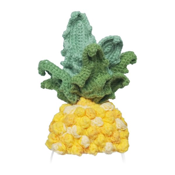Pletený kostým pre Loona Premium Pineapple