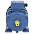 vidaXL 3-fázový elektromotor, hliník 4kW/5,5HP, 2-pólový 2840 ot./min