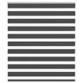 vidaXL Zebra roleta čierna 125x100 cm šírka látky 120,9cm polyester