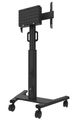 Neomounts Select FL50S-825BL1/Držák displeje/vozík/37-75"/4 kolečka/VESA 600X400/nosn. 70kg/nast.výšky/náklon/černý Stojan, VESA, na koleckách, pro velkoformátový displej 37"–75", nosnost 70kg, výškove nastavitelný, cerný