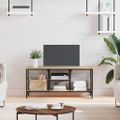 vidaXL TV skrinka dub sonoma 100x35x45 cm spracované drevo a železo