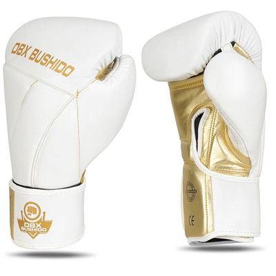 Boxerské rukavice DBX BUSHIDO B-2v19 10 oz