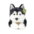 Plyšový pes husky 36 cm ECO-FRIENDLY