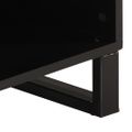 vidaXL TV skrinka 100x33x46 cm recyklovaný masív a kompozitné drevo