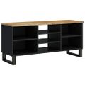 vidaXL TV skrinka 100x33x46 cm masívny mangovník a spracované drevo