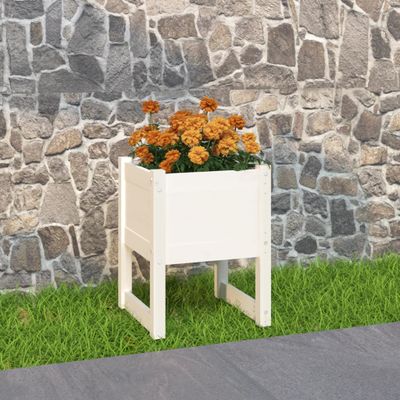vidaXL Kvetináč biely 40x40x52,5 cm borovicový masív