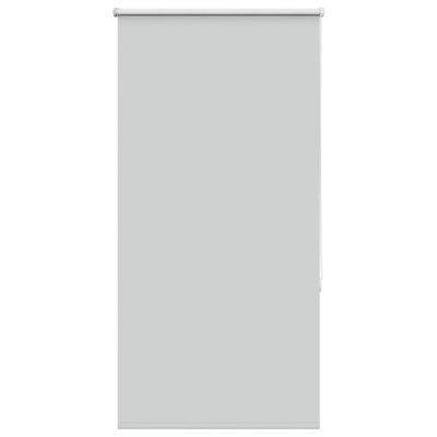 vidaXL Roleta Zatemnenie svetlo šedá 65x150 cm Šírka látky 60,7cm