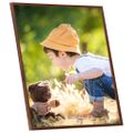 vidaXL Fotorámiky na stenu, koláž 5 ks, bronzové 50x50 cm, MDF