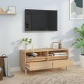 vidaXL TV skrinka dub sonoma 100x34,5x44,5 cm spracované drevo