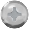 vidaXL Samorezný skrutkový klinc 12 ks Zinkovaný 4 x 20 mm Oceľ