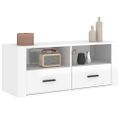 vidaXL TV skrinka lesklá biela 100x35x40 cm spracované drevo