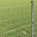 vidaXL Euro plot 1 x 10 m Železo potiahnuté PVC