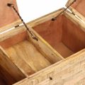 vidaXL Konferenčný stolík z mangovníkového dreva 80x40x35 cm