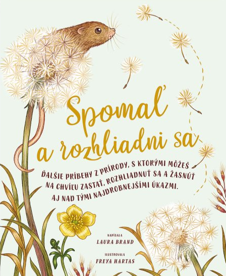 Spomaľ a rozhliadni sa
