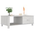 vidaXL Konferenčný stolík HAMAR, biely 100x55x35 cm, borovica