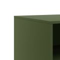 vidaXL TV skrinky 2 ks olivovo-zelené 67x39x44 cm oceľ