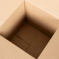 vidaXL Skladací box s úložiskom 50 ks Prírodná 20 x 20 x 20 cm Kartón