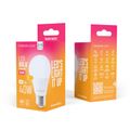 Forever Light LED Bulb E27 A55 4W 480lm 3000K class E