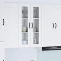 vidaXL Nástenný sklenený kabinet LUCCA Biela 60 x 31 x 100 cm