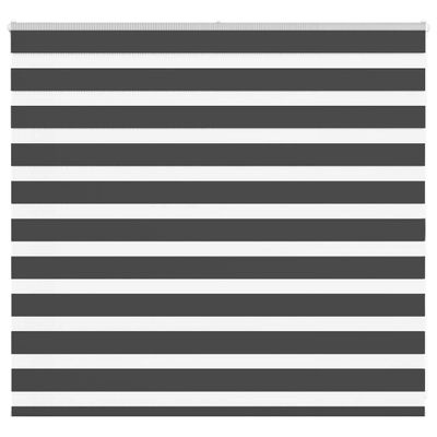 vidaXL Zebra roleta čierna 165x100 cm šírka látky 160,9cm polyester