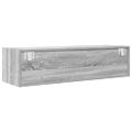 TV Skrinka vidaXL Sivá Sonoma 100x31x25,5 cm Engineered Wood