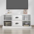vidaXL TV skrinka lesklá biela 99,5x35,5x48 cm kompozitné drevo