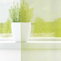 vidaXL Voálové závesy s priechodkami 2 ks Apple Green 140x225 cm