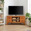 vidaXL TV skrinka Prírodná 100 x 40,5 x 46 cm Masívne mahagónové drevo