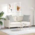 vidaXL Vankúše na pohovku 2 ks látka Svetlosivá 80 x 80 cm
