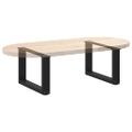 vidaXL Nohy konferenčného stolíka v tvare U, 2 ks, čierne, 50 x (30-31) cm, oceľové