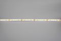Modee LED pás DC24V 9,6W/m 128LED/m 8mm IP20 2700K (1150 lm/m) B5 (ML-LS24V48W128L/M2700KB5)