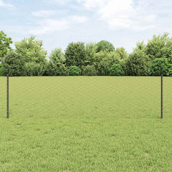 vidaXL Zvarený drôtený plot 10 x 0,6 m (Š x V) PVC potiahnutá oceľ
