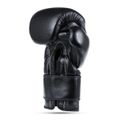 Boxerské rukavice DBX BUSHIDO B-ProFight 12 oz