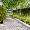 vidaXL Obrubník trávnika 10 ks 15 x 103 cm Biela