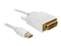 DisplayPort kábel - Mini DisplayPort (samec) na DVI-D (samec) - 2 m