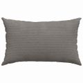 vidaXL Vankúše na pohovku 2 pcs Svetlosivá 50 x 30 cm