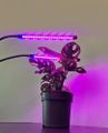 Lampa pre rast rastlín GROW GARDLOV, 2 ramená