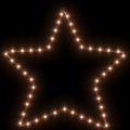 vidaXL Silueta vianočnej hviezdy so 48 LED 2 ks teplé biele 56 cm