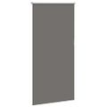 vidaXL Roleta Zatemnenie sivá 65x175 cm Šírka látky 60,7cm Polyester