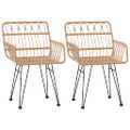 vidaXL Záhradné stoličky 2 ks s opierkami rúk 56x64x80 cm PE Rattan