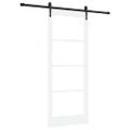vidaXL Posuvné dvere 83 x 202 cm Masívne borovicové drevo a sklo Biela