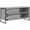 vidaXL TV skrinka 100 x 36 x 49,5 cm Sivý Sonoma Kompozitné drevo