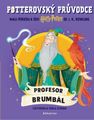 Potterovský průvodce Profesor Brumbál