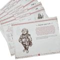 Jeden prsteň RPG: úvod do hry