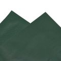 vidaXL Celta zelená 5x5 m 650 g/m²