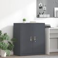 vidaXL Úložná skrinka Antracit 80 x 40 x 90 cm Oceľ