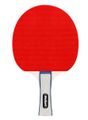 Zostava pálok a loptičiek pre stolný tenis REBEL RBA-4000