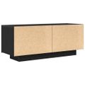 vidaXL TV skrinka 100 x 35 x 40 cm Čierny dub Kompozitné drevo