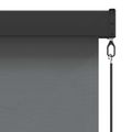 vidaXL Roleta Svetlosivá 100 x 250 cm Textil a hliník